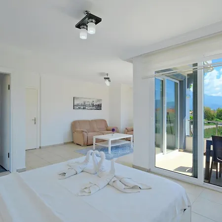 Amber 4 Plus 3 With Pool,sauna And Billiards In * Φετιγιέ