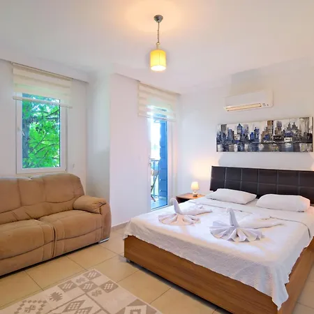 Βίλα Amber 4 Plus 3 With Pool,sauna And Billiards In Φετιγιέ