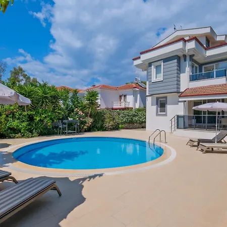 Amber 4 Plus 3 With Pool,sauna And Billiards In Villa