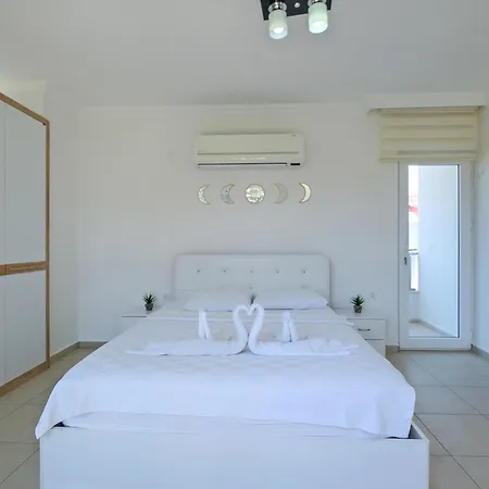 Amber 4 Plus 3 With Pool,sauna And Billiards In Villa